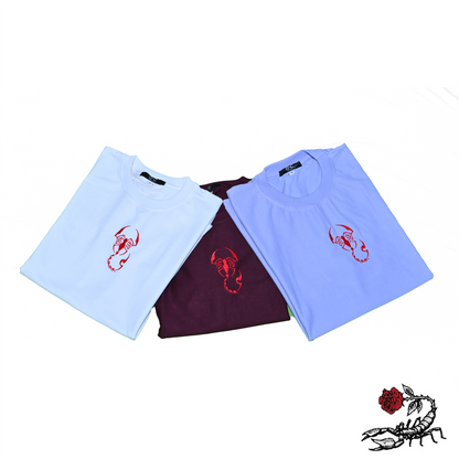 Essential Oversized Embroidered T-Shirt (Scorpion Vr)